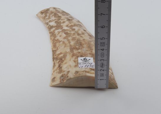 Creme-beige mammoth bark