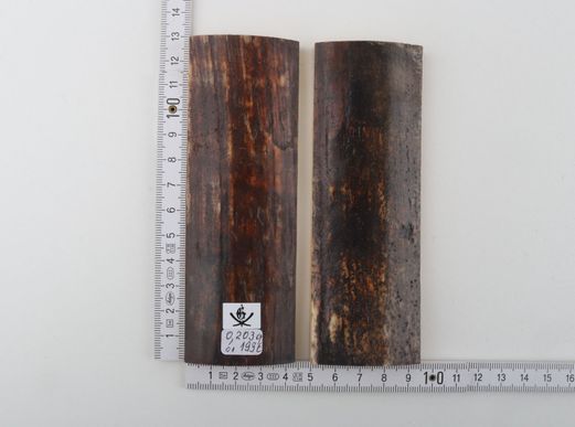 Natural mammoth bark scales