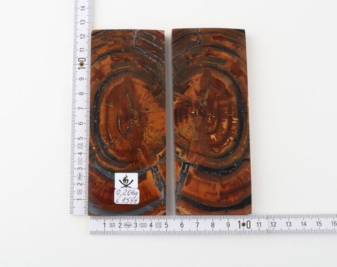 Stabilized mammoth ivory scales
