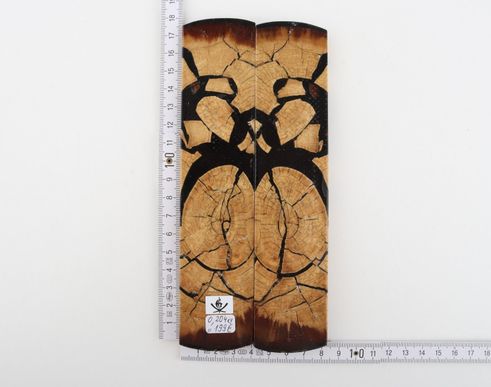 Stabilised mammoth ivory scales
