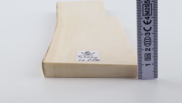 White mammoth ivory segment