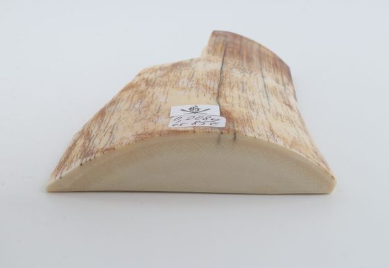 Natural mammoth ivory piece