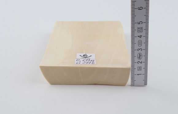 White mammoth ivory segment
