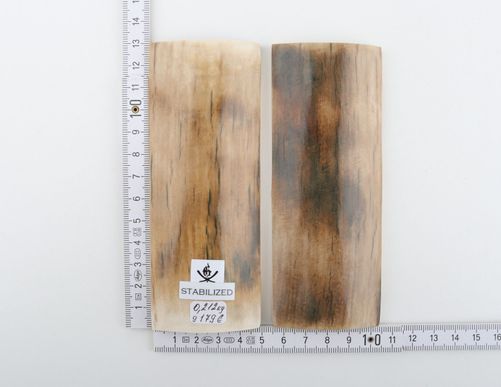 Stabilized mammoth bark scales