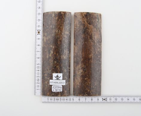 Stabilized mammoth bark scales