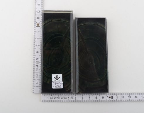 Stabilised mammoth ivory scales