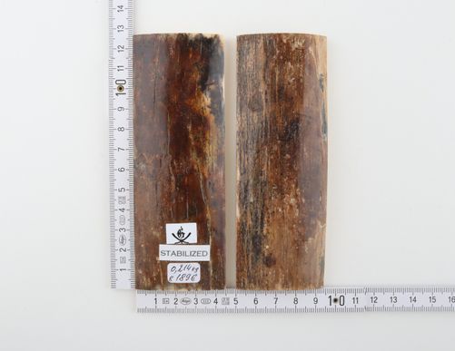 Stabilised mammoth bark scales