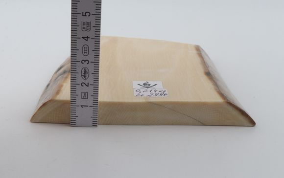 White mammoth ivory segment
