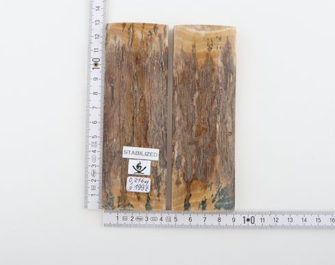 Stabilized mammoth bark scales