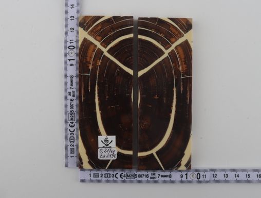 Stabilized mammoth ivory scales