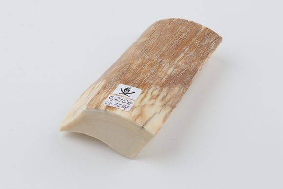Natural mammoth ivory piece