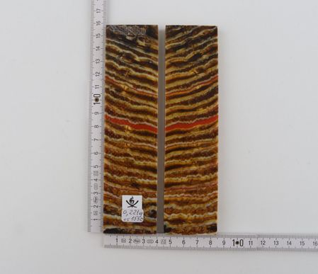 Stabilised mammoth molar scales