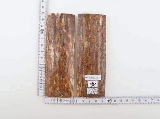Stabilised mammoth bark scales