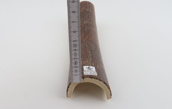 Brown mammoth bark