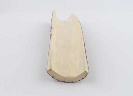Brown mammoth bark