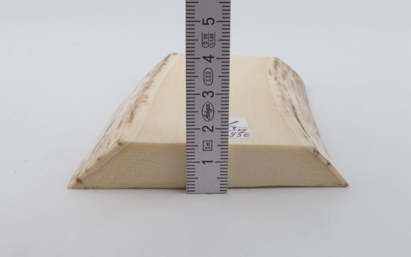 White mammoth ivory segment