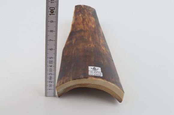 Brown mammoth bark