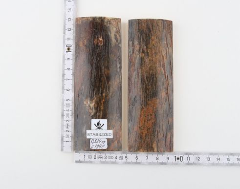 Stabilized mammoth bark scales