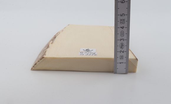White mammoth ivory segment
