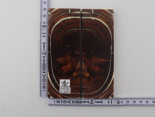 Stabilised mammoth ivory scales