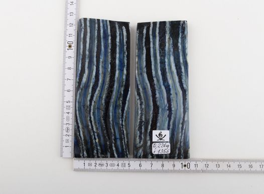 Stabilized mammoth molar scales