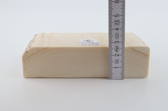 White mammoth ivory segment