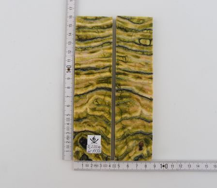 Stabilized mammoth molar scales