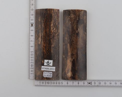 Stabilized mammoth bark scales