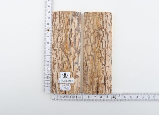 Stabilized mammoth bark scales
