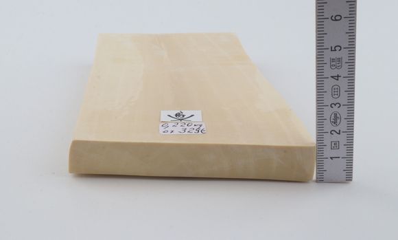 White mammoth ivory segment
