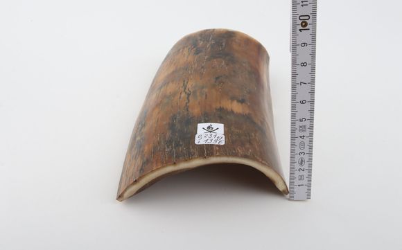Natural woolly mammoth bark