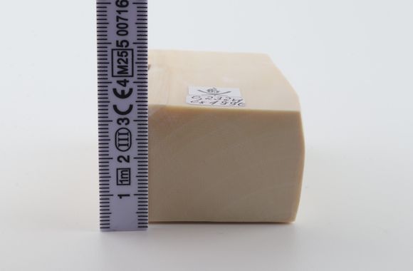 White mammoth ivory segment