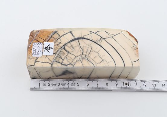 Stabilized mammoth ivory block