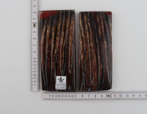 Stabilized mammoth molar scales
