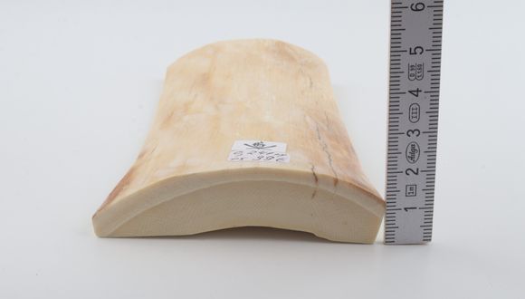 White mammoth ivory piece