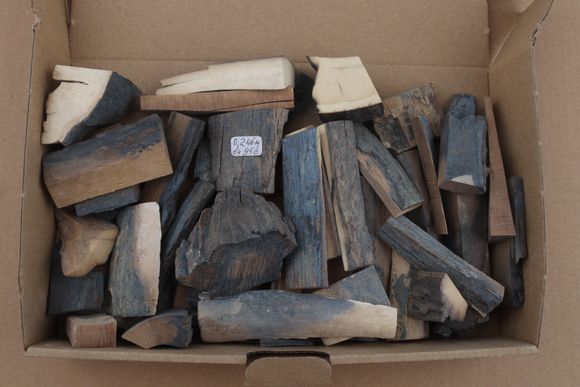 Untreated mammoth ivory offcuts