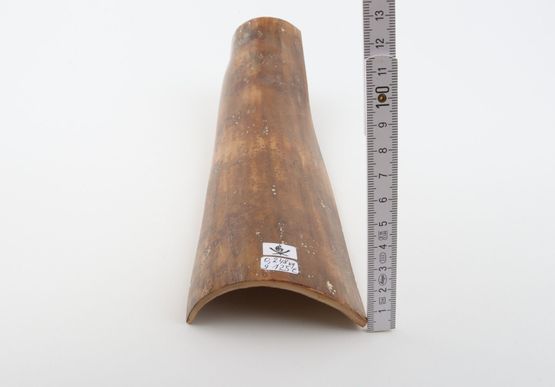 Caramel mammoth bark