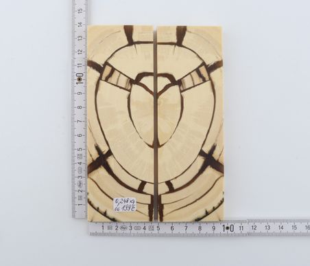 Stabilised mammoth ivory scales