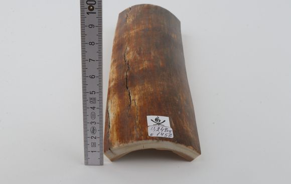 Natural mammoth bark