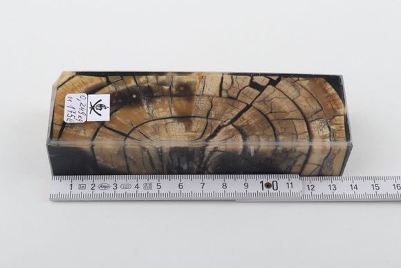 Stabilized mammoth ivory block