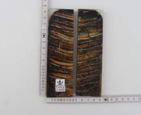 Stabilized mammoth molar scales