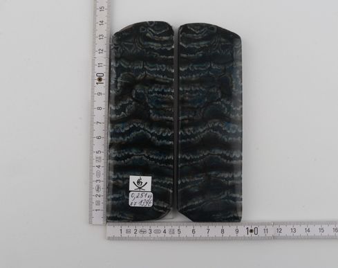 Stabilized mammoth molar scales