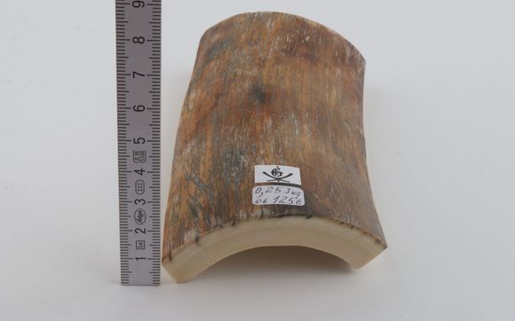 Natural mammoth bark