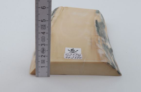 White mammoth ivory segment 