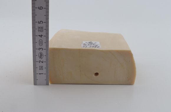 White mammoth ivory segment