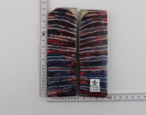 Stabilized mammoth molar scales