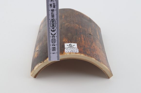 Brown-orange mammoth bark