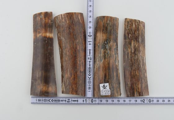 Brown-orange mammoth bark pieces