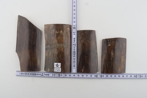 Brown-green mammoth bark pieces