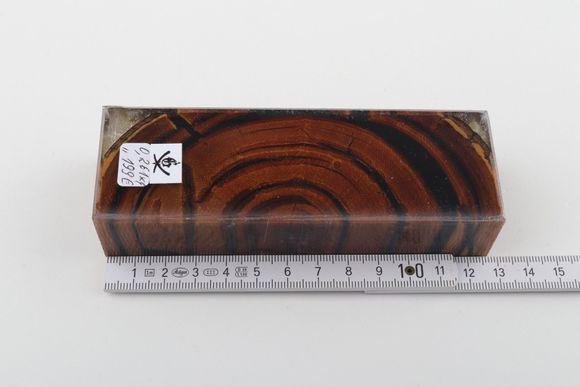 Stabilized mammoth ivory block